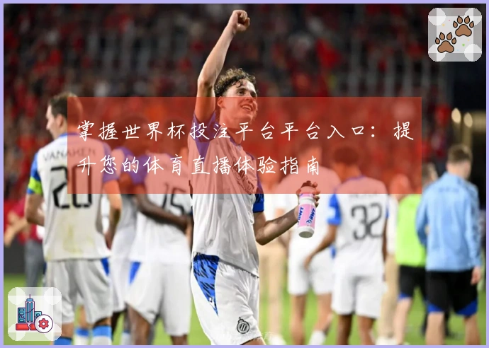 掌握世界杯投注平台平台入口：提升您的体育直播体验指南