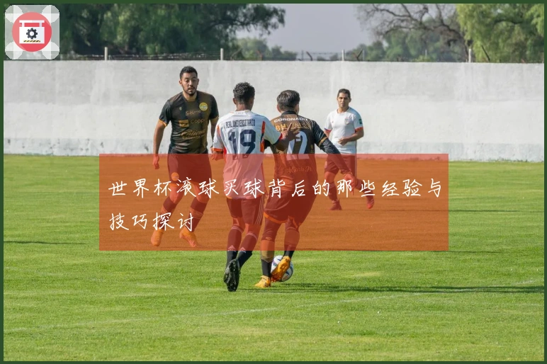 世界杯滚球买球背后的那些经验与技巧探讨