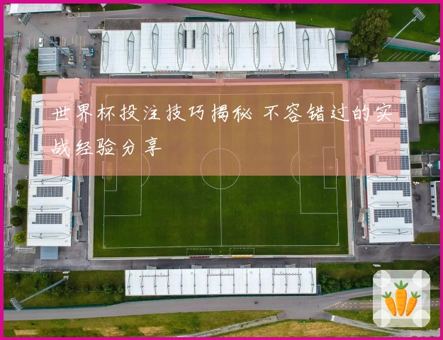 世界杯投注技巧揭秘 不容错过的实战经验分享