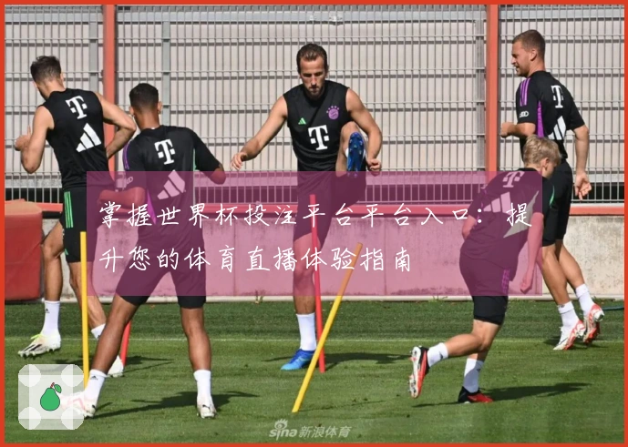 掌握世界杯投注平台平台入口：提升您的体育直播体验指南