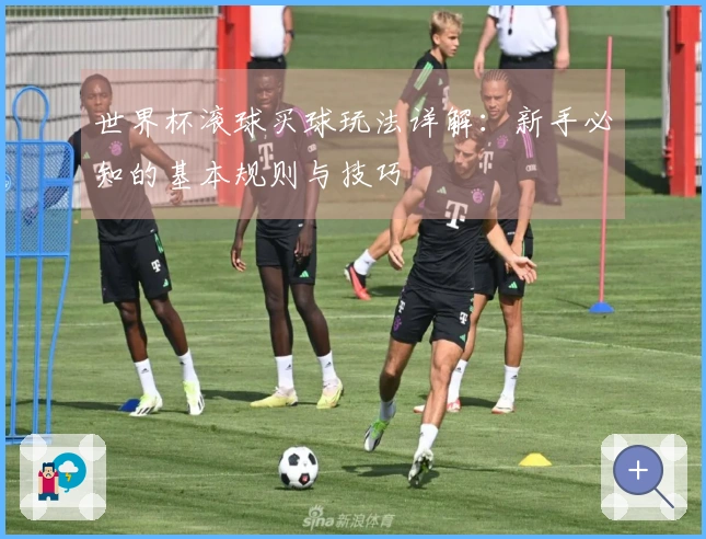 世界杯滚球买球玩法详解：新手必知的基本规则与技巧
