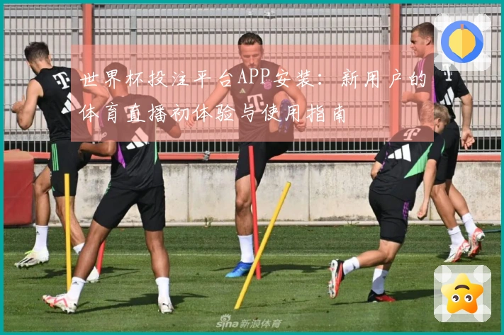世界杯投注平台APP安装：新用户的体育直播初体验与使用指南