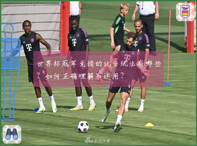 世界杯冠军竞猜的比分玩法有哪些？如何正确理解和运用？