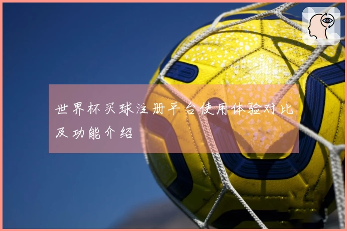 世界杯买球注册平台使用体验对比及功能介绍