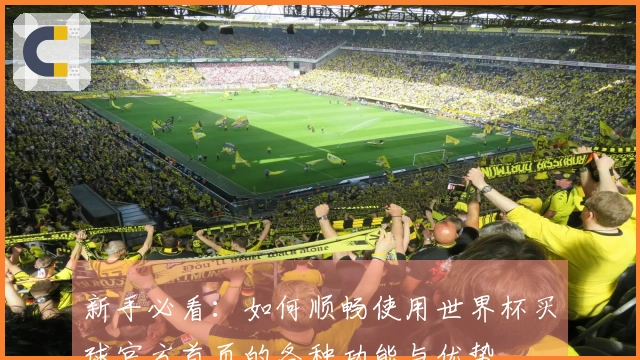 新手必看：如何顺畅使用世界杯买球官方首页的各种功能与优势