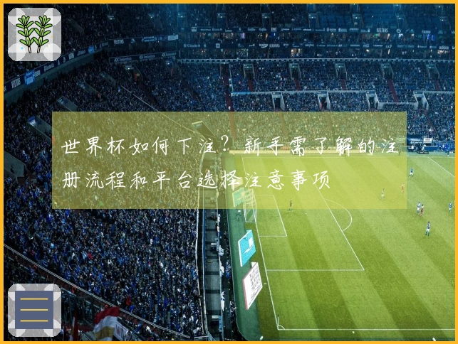 世界杯如何下注？新手需了解的注册流程和平台选择注意事项