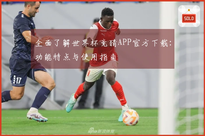 全面了解世界杯竞猜APP官方下载：功能特点与使用指南