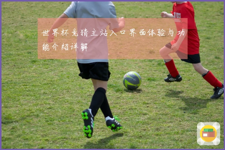 世界杯竞猜主站入口界面体验与功能介绍详解